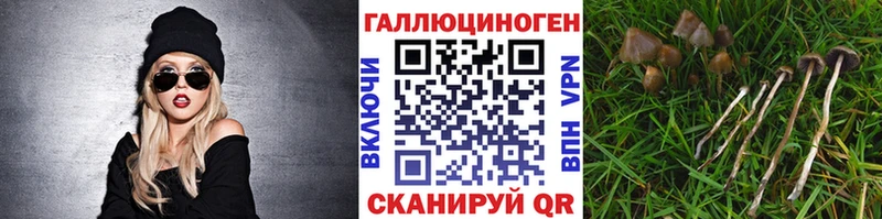 Галлюциногенные грибы мицелий  Купить где  Тбилисская 